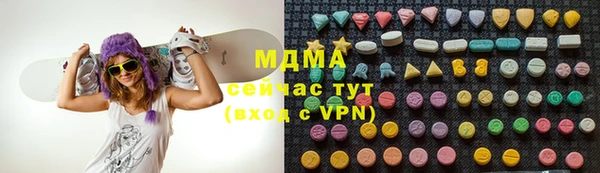индика Бородино