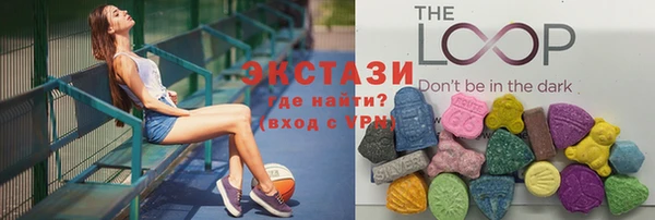 индика Бородино