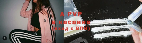 индика Бородино