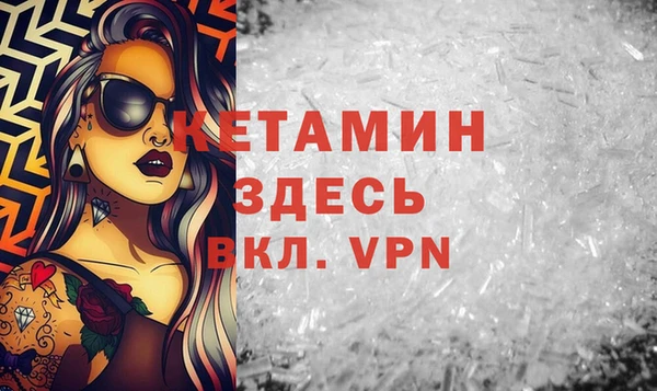индика Бородино