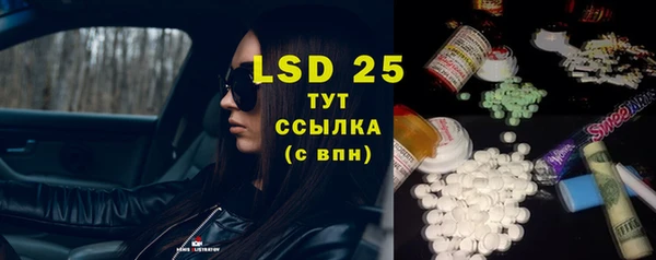 индика Бородино