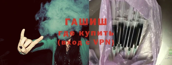 индика Бородино
