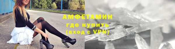индика Бородино