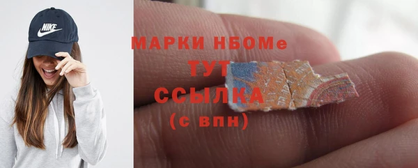 индика Бородино