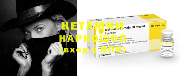 индика Бородино
