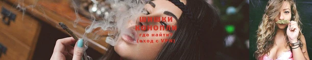 индика Бородино