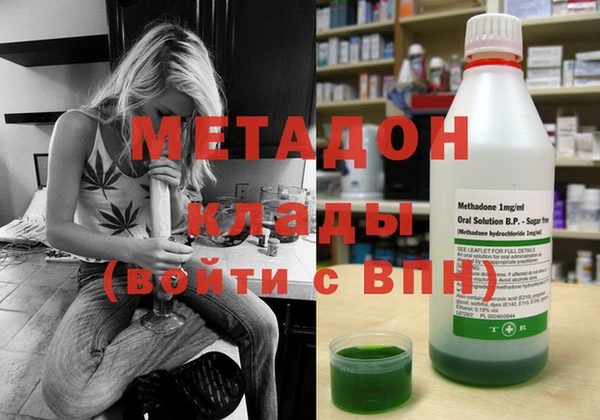 индика Бородино