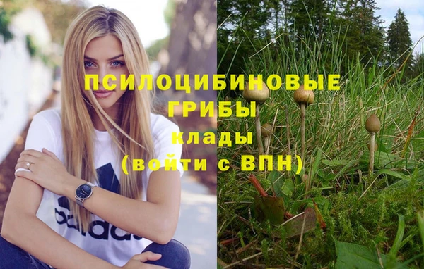 мяу мяу кристалл Бугульма