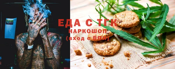 индика Бородино