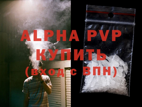 индика Бородино
