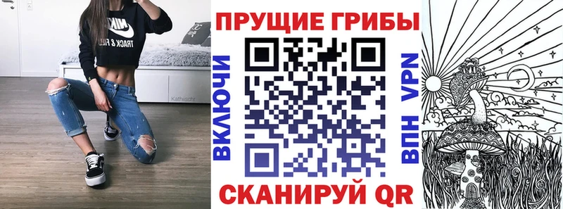 как найти закладки  Южно-Сухокумск  мориарти телеграм  Псилоцибиновые грибы мухоморы 